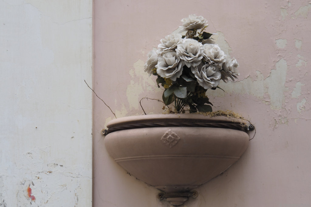 2405092, Salerno
