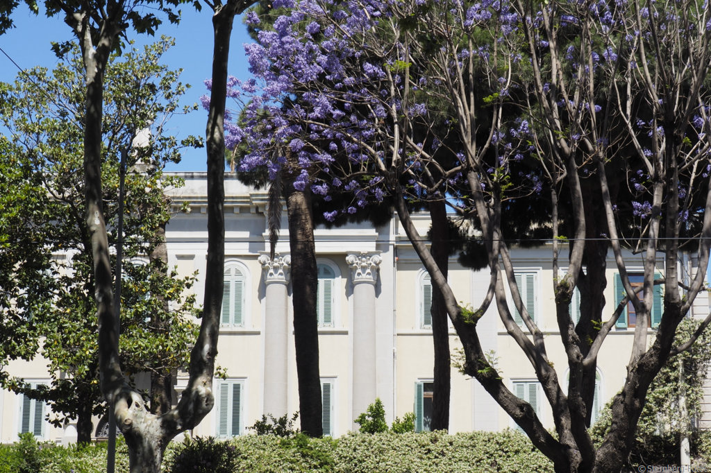 2405147, Messina