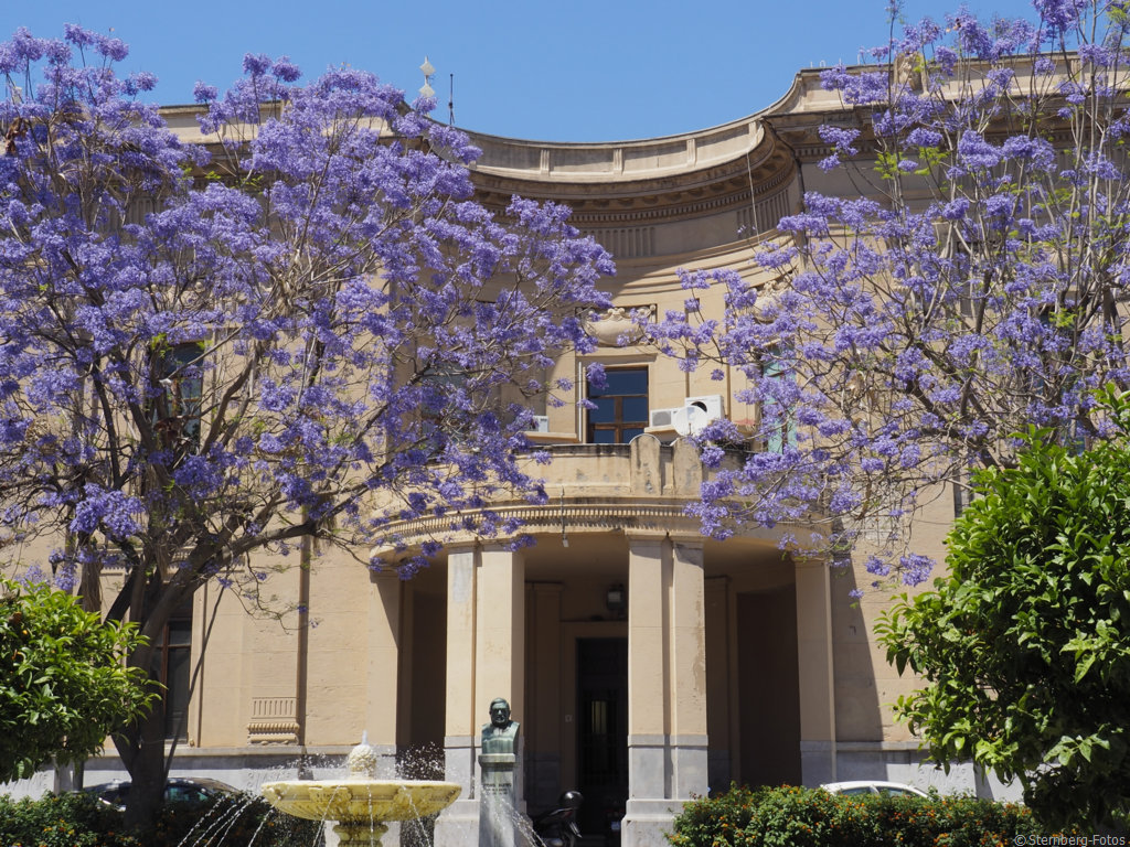 2405184, Messina