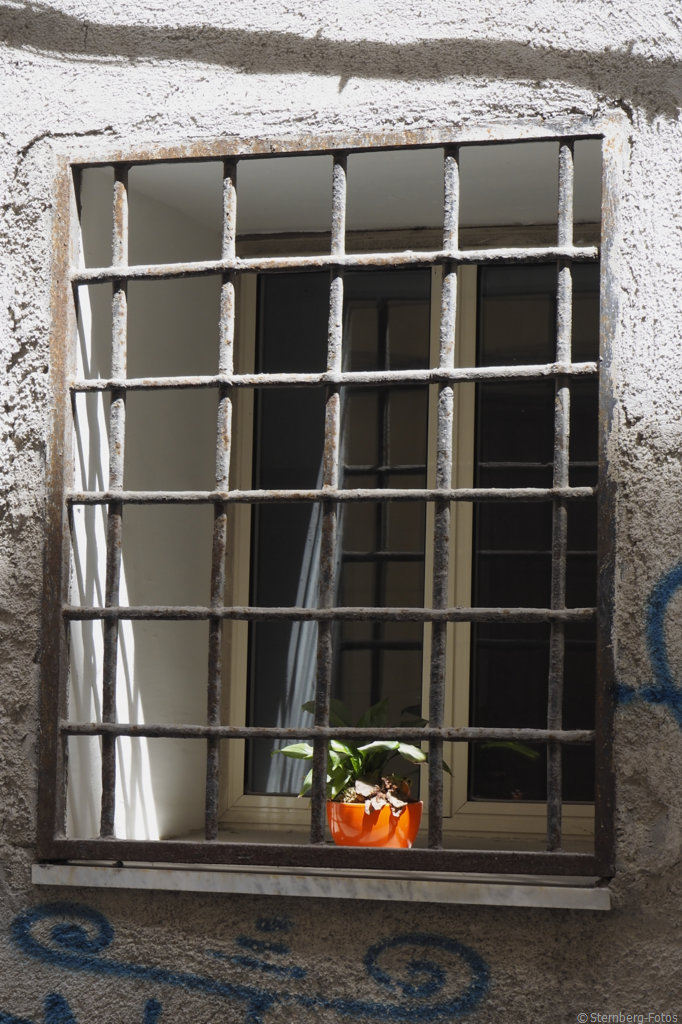 2405284, Palermo