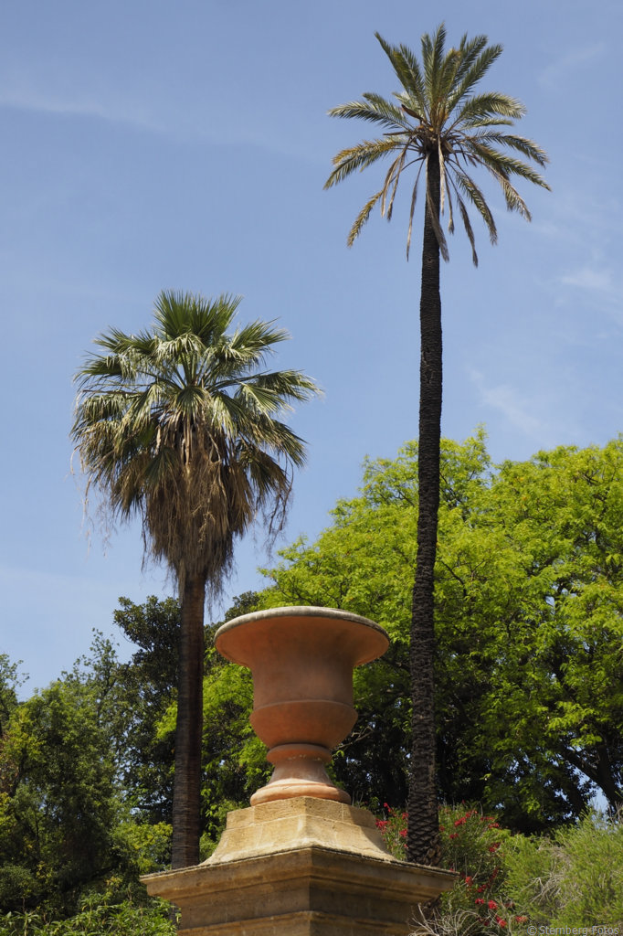 2405291, Palermo