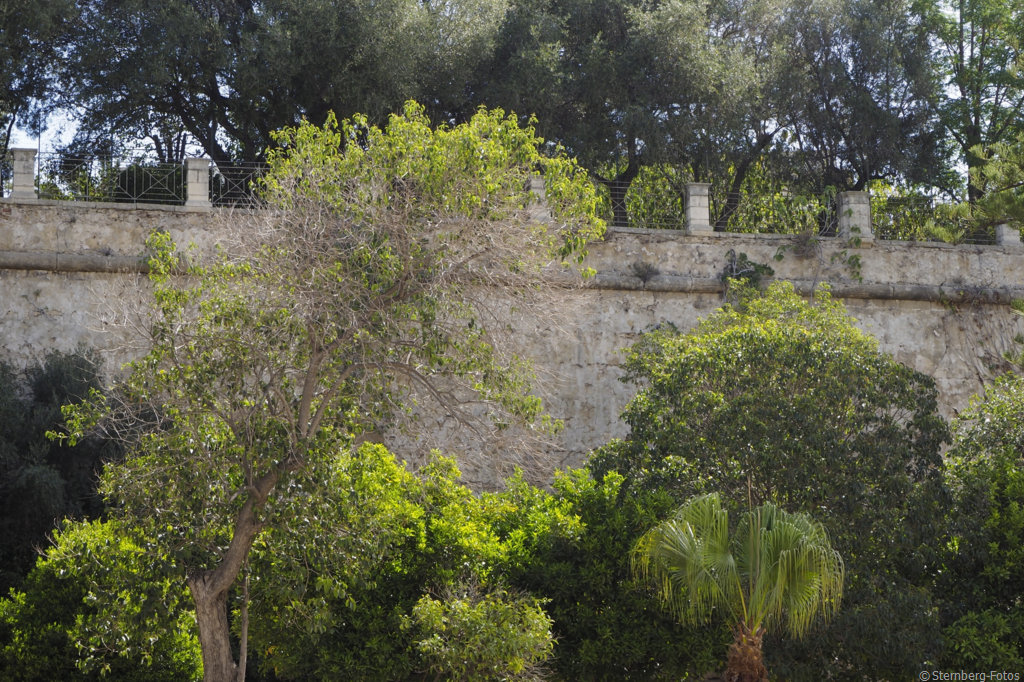 2406146, Crotone / Castello di Crotone, Gian Giacomo dell’Acaja, 814/1541