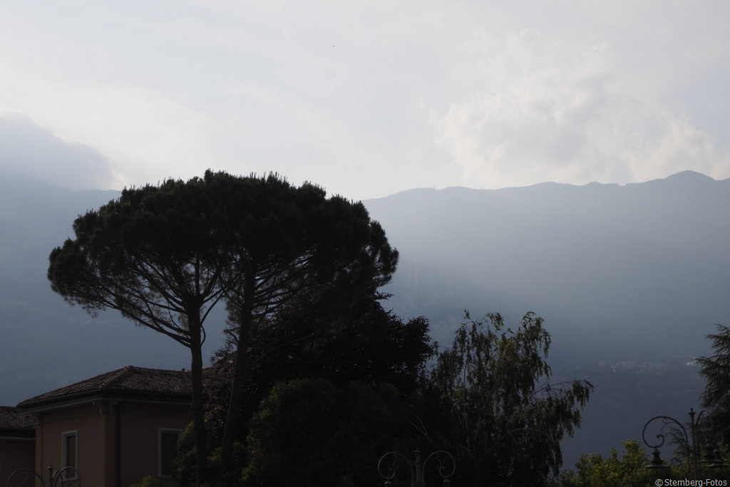 2406253, Rovereto